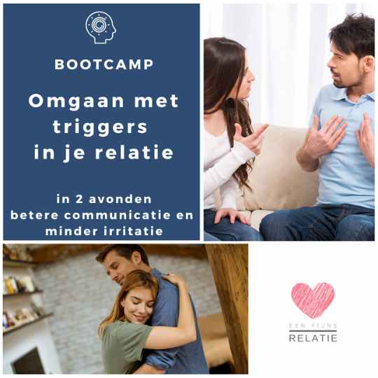 cursus (6) online bootcamp triggers in je relatie jpg klein